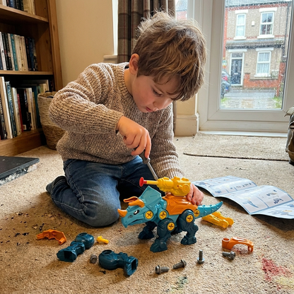 DIY Build & Transform Dinosaur Egg Toy
