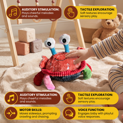 Interactive Musical Crab with Voice Function – Moving Educational Toy for Babies