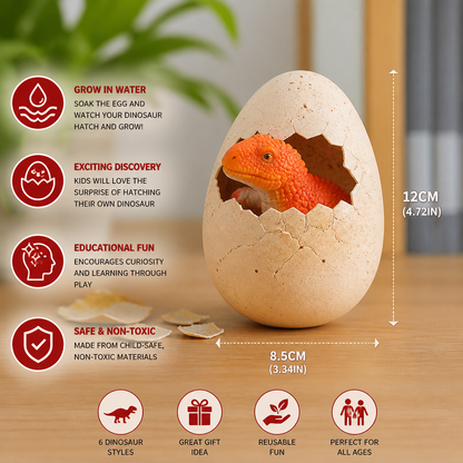 Educational Grow-in-Water Dinosaur Hatching Egg Toy for Kids