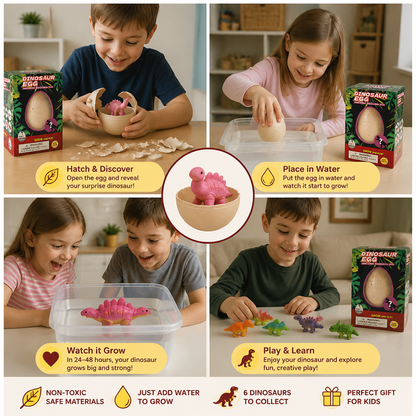 Educational Grow-in-Water Dinosaur Hatching Egg Toy for Kids