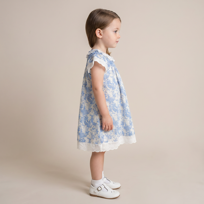 Timeless Blue Toile Dress