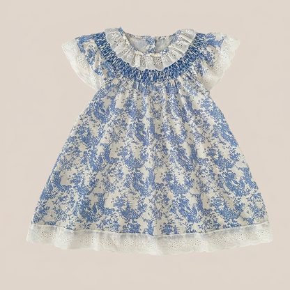 Timeless Blue Toile Dress