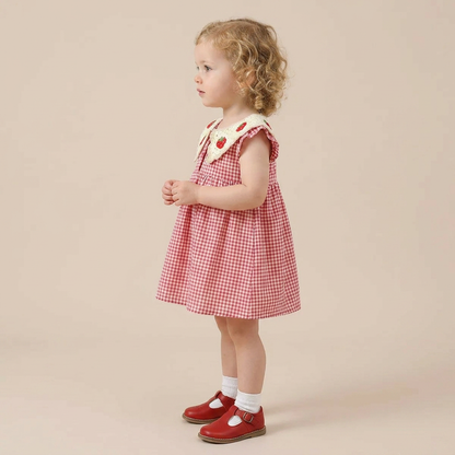 Strawberry Picnic Dress