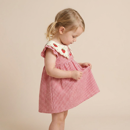 Strawberry Picnic Dress