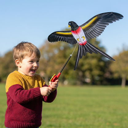 Flapping Wing Kite for Kids – Improves Coordination & Motor Skills