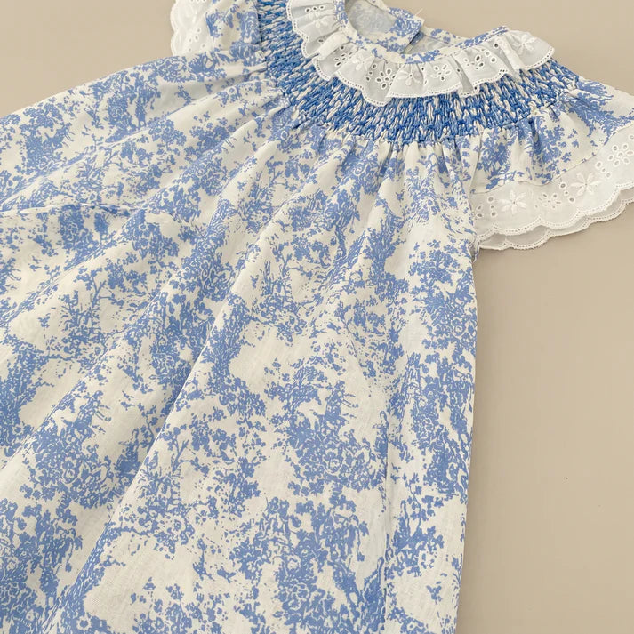 Timeless Blue Toile Dress