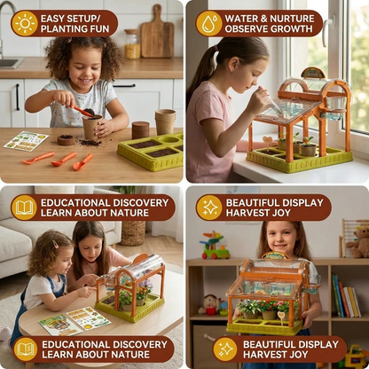 LED Acrylic Kids Greenhouse – Indoor Plant Growing Kit for Learning & Fun
